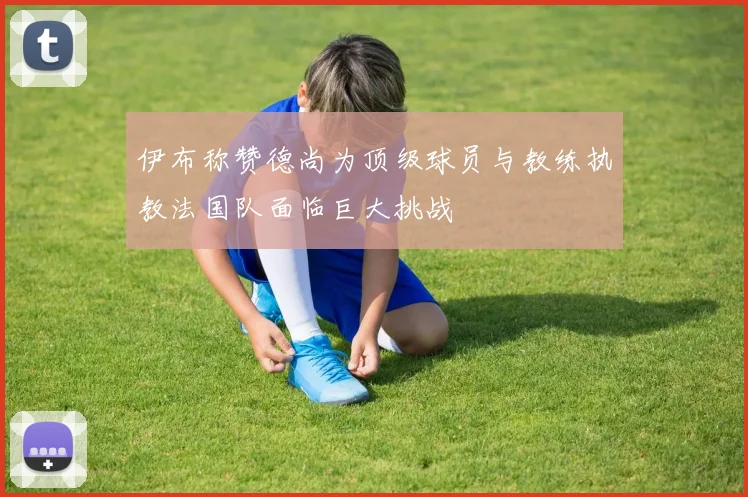 伊布称赞德尚为顶级球员与教练执教法国队面临巨大挑战