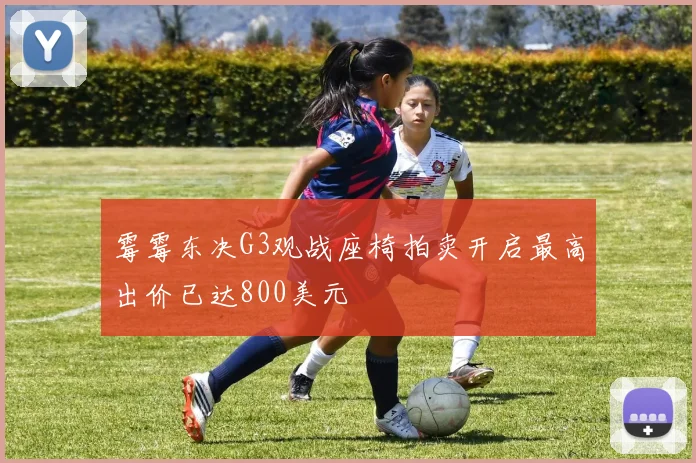 霉霉东决G3观战座椅拍卖开启最高出价已达800美元
